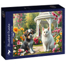 Companions in the Garden, 1000 palaa