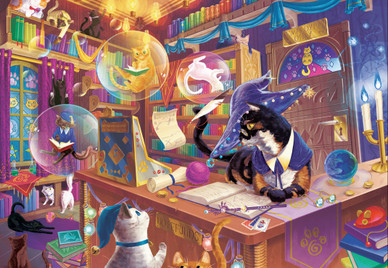 Wizard Cat Bookshop, 1000 bitar