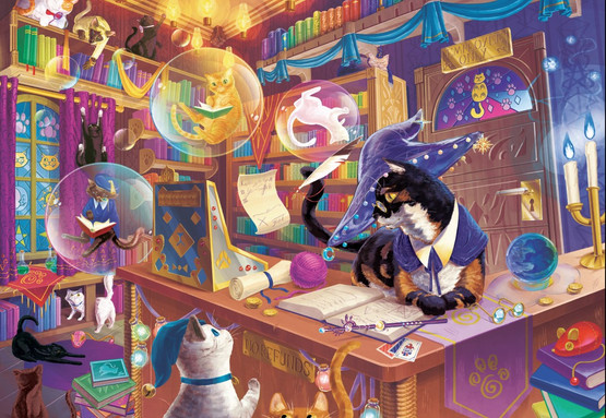 Wizard Cat Bookshop, 1000 bitar