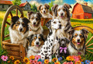 Happy Dogs In The Countryside, 1000 palaa