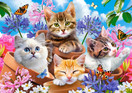 Kittens with Flowers, 500 palaa