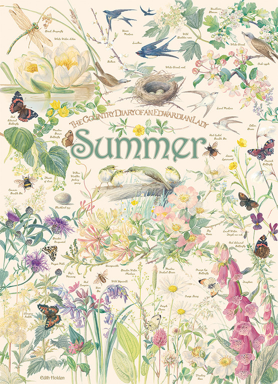 Country Diary: Summer, 1000 palaa