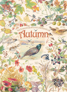 Country Diary - Autumn, 1000 bitar