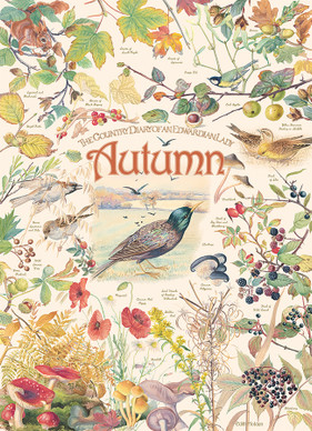 Country Diary - Autumn, 1000 bitar
