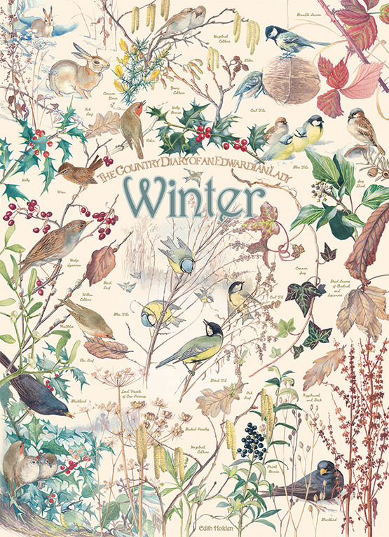 Country Diary - Winter, 1000 palaa
