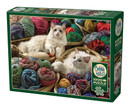 Ragdolls, 1000 palaa