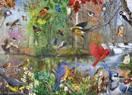 Birds of the Season, 1000 palaa