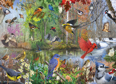 Birds of the Season, 1000 bitar