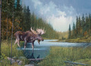 Moose Lake, 1000 palaa
