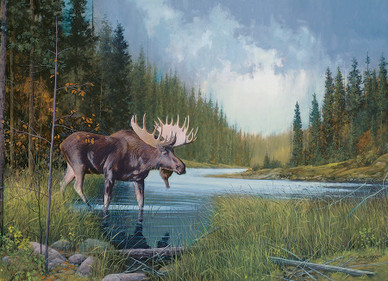 Moose Lake, 1000 bitar