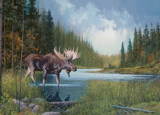 Moose Lake, 1000 palaa
