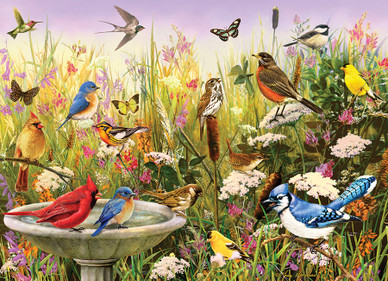 Feathered Friends, 1000 bitar