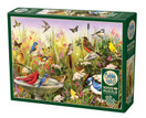 Feathered Friends, 1000 palaa