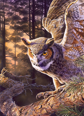 Evening Hunter, 1000 bitar