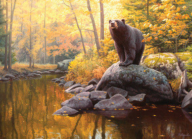 Black Bear Pond, 1000 bitar