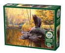 Black Bear Pond, 1000 palaa