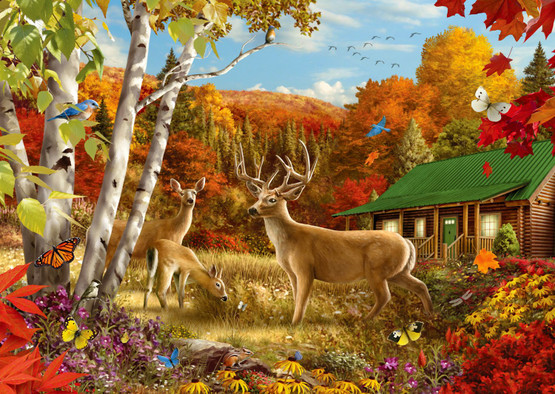 Somewhere in a Field, 1000 palaa