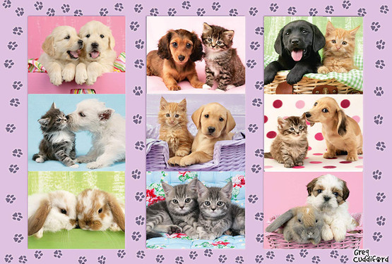 My animal friends, 100 palaa 