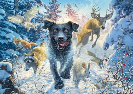 Mark Frederickson: Dog Love, Black Labrador in The Snow, 1000 palaa