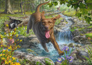 Mark Frederickson: Dog Love, Spring Walk with Labrador Retriever, 1000 palaa