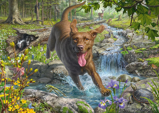 Mark Frederickson: Dog Love, Spring Walk with Labrador Retriever, 1000 palaa