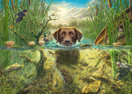 Mark Frederickson: Dog Love Brown Labrador in Cool Wet, 1000 palaa