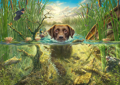 Mark Frederickson: Dog Love Brown Labrador in Cool Wet, 1000 palaa