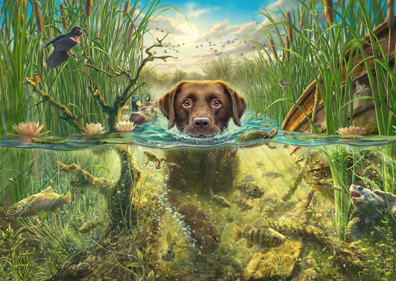 Mark Frederickson: Dog Love Brown Labrador in Cool Wet, 1000 palaa