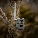 Spypoint Flex-M Twin Pack