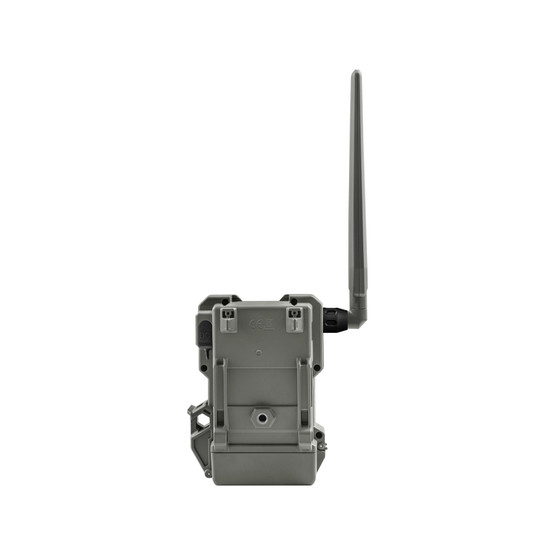 Spypoint Flex-M Twin Pack