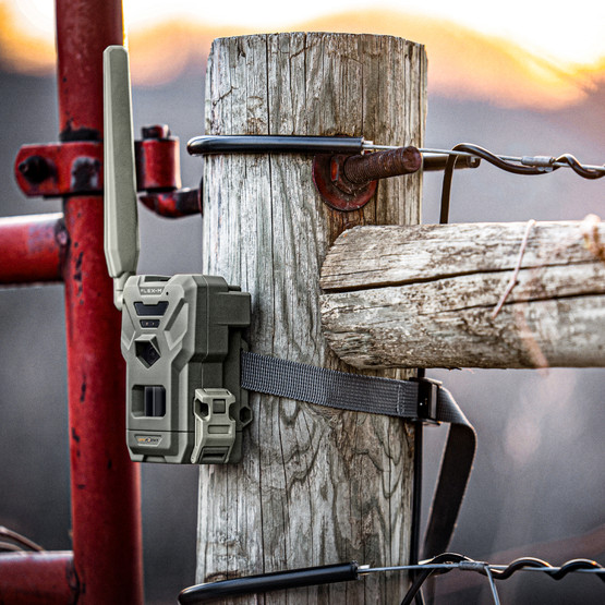 Spypoint Flex-M Twin Pack