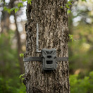 Spypoint Flex-M Twin Pack