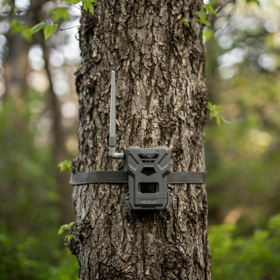 Spypoint Flex-M Twin Pack