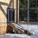 Keskikokoinen koiratalo | 210 x 210 cm