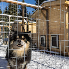 Keskikokoinen koiratalo | 210 x 210 cm