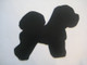 bichon frise