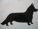 welsh corgi pembroke 2.0
