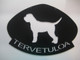 lagotto romagnolo