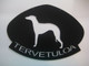 whippet