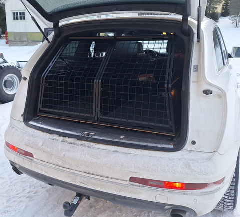 Q7