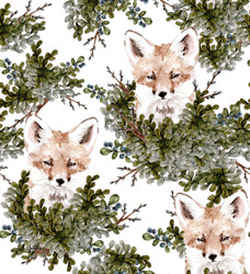 Ketunpojan kurkistus, original, ribbitrikoo