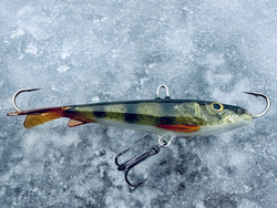 JeBy perch