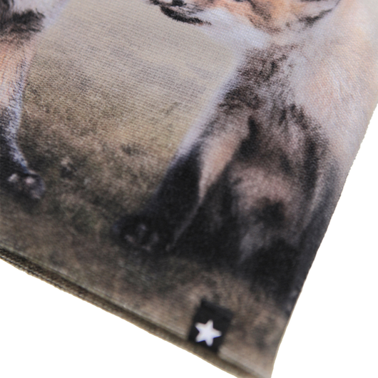 Pipo ja sormikkaat Kaya, Fox Cubs