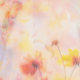 Mekkobody Pastel Dance Ruffle