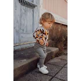 Trikoobody Fox, Cloudy