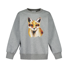 Oversize-collegepaita Fox, Cloudy