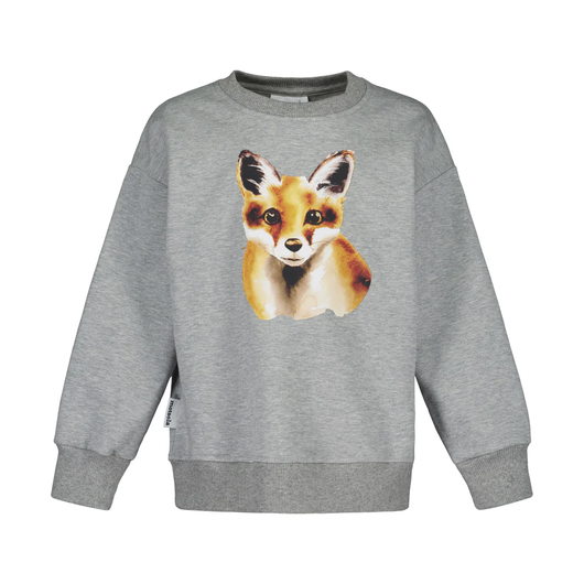 Oversize-collegepaita Fox, Cloudy