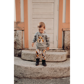 Oversize-collegepaita Fox, Cloudy