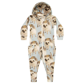 Collegehaalari Hedgehog, Blue