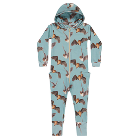 Collegehaalari Bat, Cloudy Sky